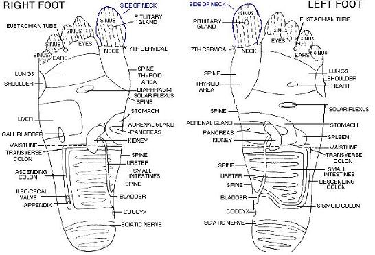 Podiatry Foot Chart